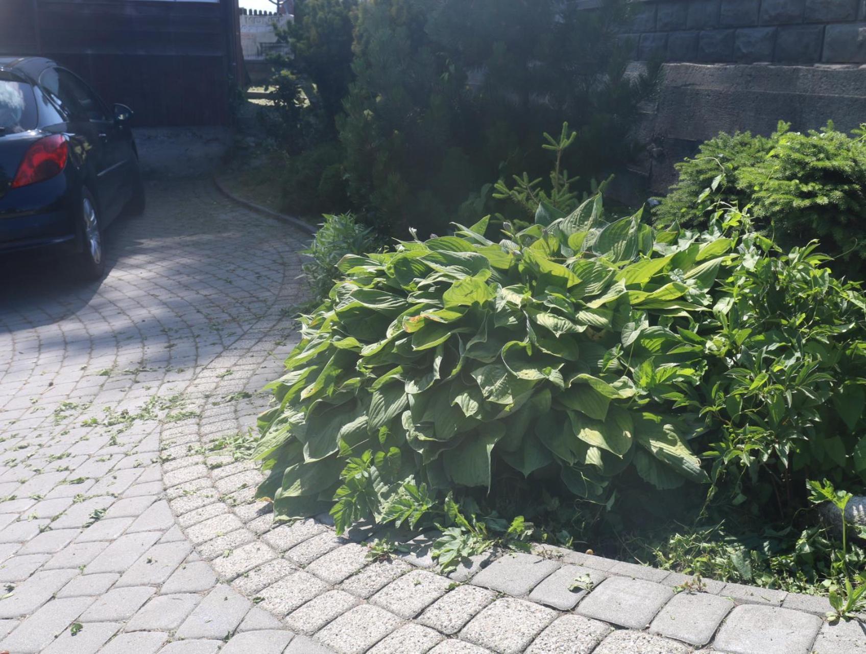 Smyrecek-Centrum Bukowiny بوكافينا تترايسكا المظهر الخارجي الصورة
